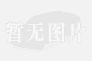 阜阳宏正汽车销售有限公司